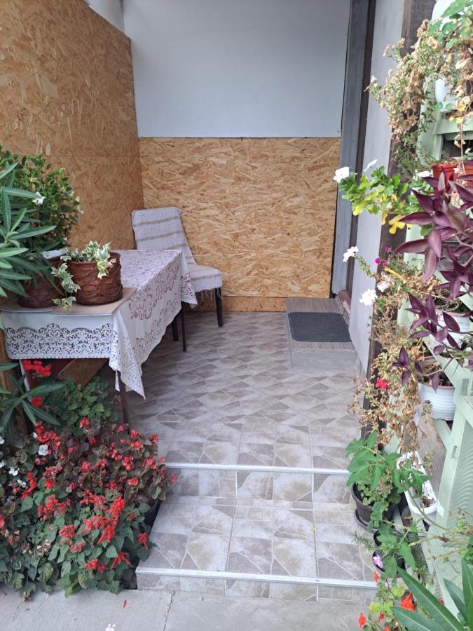 Apartment Capital Town Vk 14 نوفي ساد المظهر الخارجي الصورة