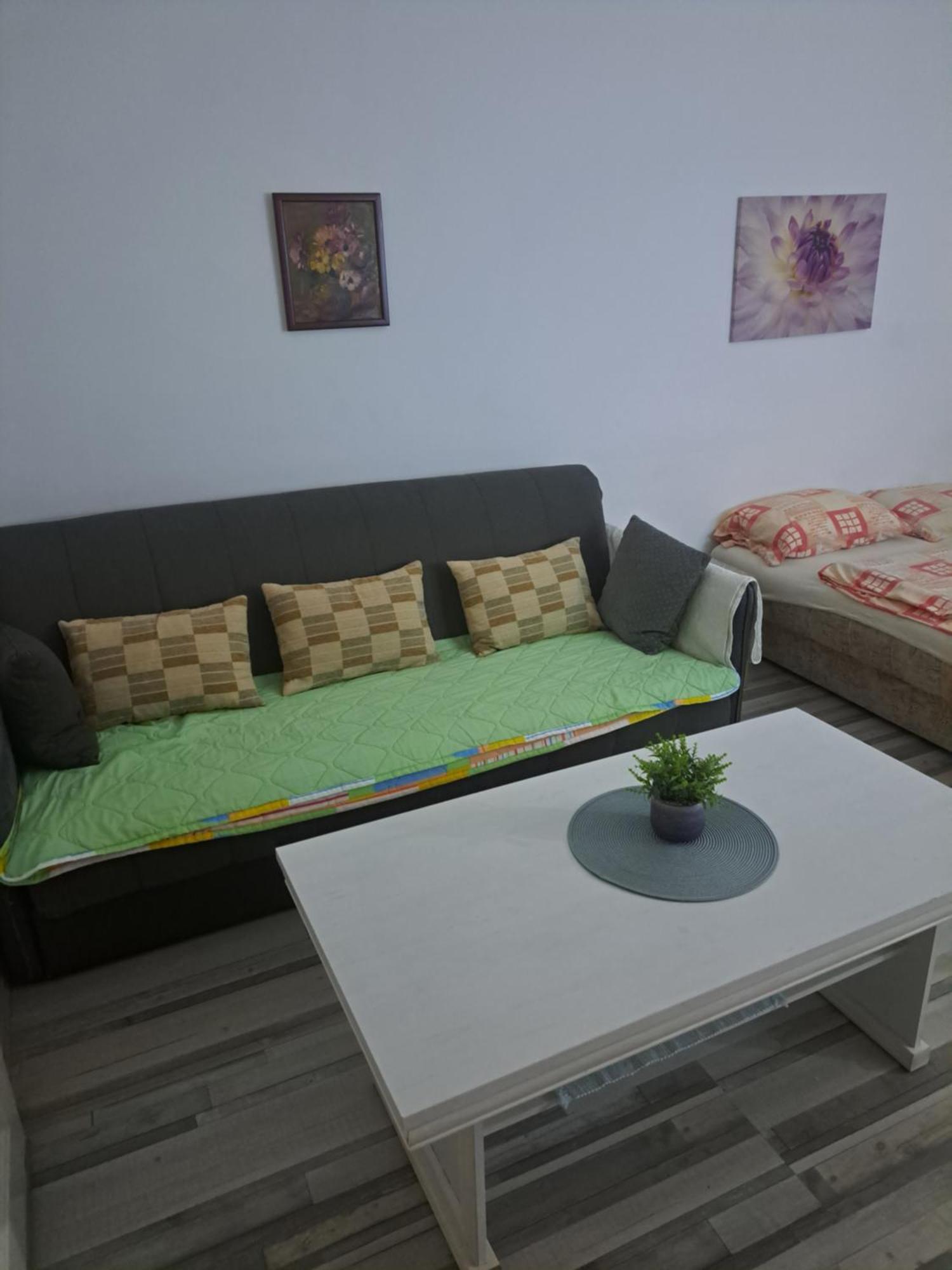 Apartment Capital Town Vk 14 نوفي ساد المظهر الخارجي الصورة